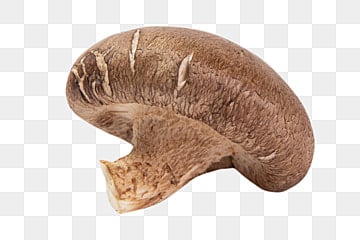 Dried Shiitake Mushrooms